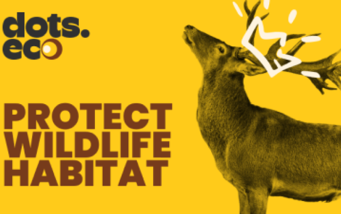 Carte regalo LAND FÜR WILDTIERE SCHÜTZEN