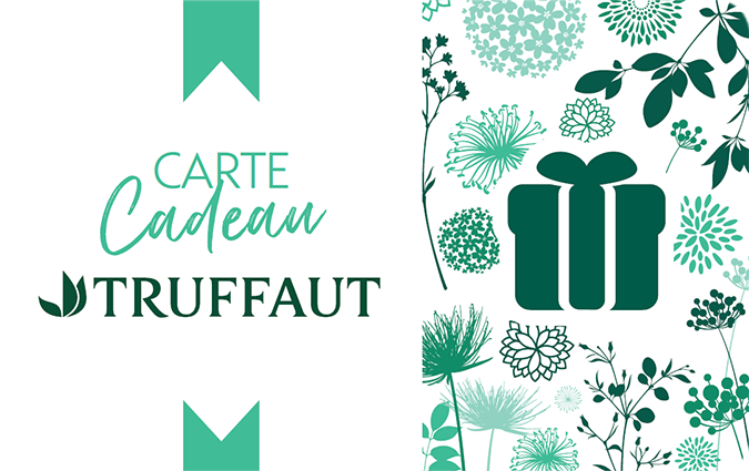 Carte regalo Truffaut